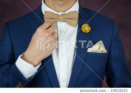 man in blue suit bowtie, brooch, handkerchief 19918201