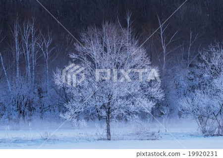 Winter landscape 19920231