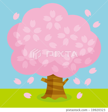 Cherry tree C 19920323