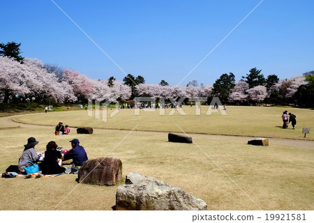 Takaoka Kojo Park Sakura at Honmaru Square Takaoka Kojo Park Sakura at Honmaru Square 19921581