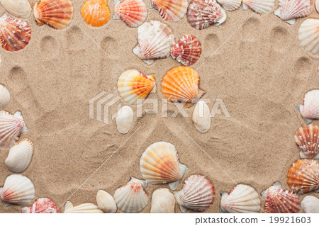 Imprint hands on the sand among the shells Imprint hands on the sand among the shells 19921603