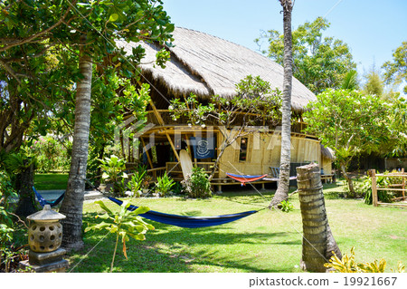 Hammock 19921667