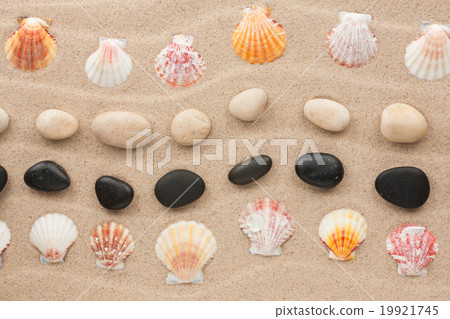 Frame made of seashell and stone on a wavy sand Frame made of seashell and stone on a wavy sand 19921745