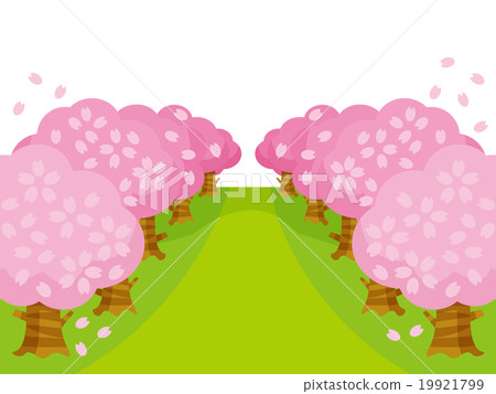Cherry blossom row variation Yokoguri 19921799