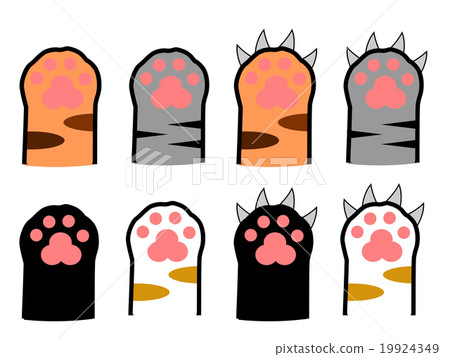 Cat's hand 19924349