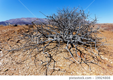 fantrastic Namibia desert landscape fantrastic Namibia desert landscape 19924808