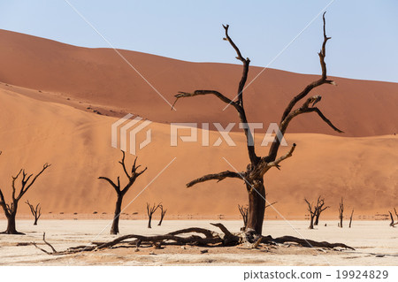 Sossusvlei beautiful landscape of death valley 19924829