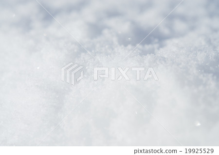 粉雪 19925529