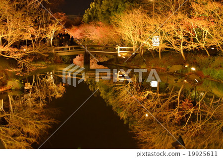 Mirror pond 2 19925611