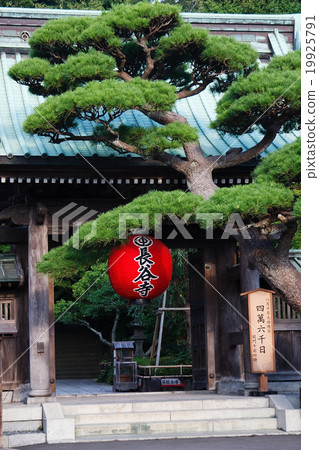 四十六個三十五天偉大的道德太陽鎌倉H寺 四十六個三十五天偉大的道德太陽鎌倉H寺 19925791