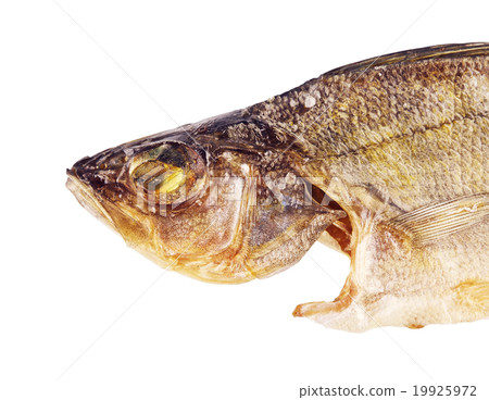 Salty Dried Fish 19925972