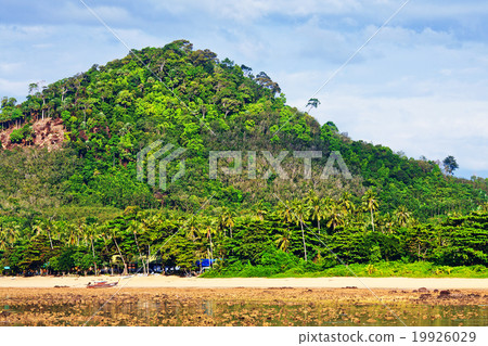 Rocky Shore Low Tide Rocky Shore Low Tide 19926029