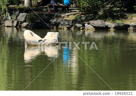 中國未知的湖花園建築先驗石魚 19926521