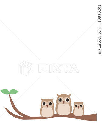 Owls perched on a tree 19930201