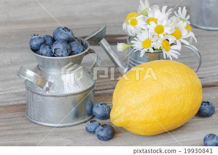 Still life with blueberries, lemon and chamomiles 19930841