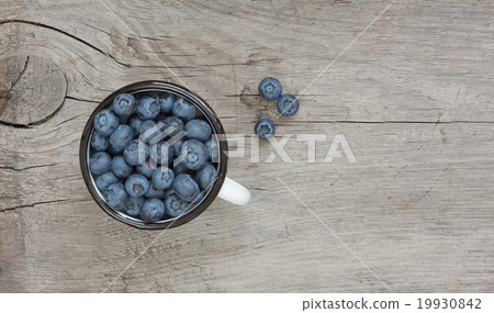 Blueberries in the enamel mug 19930842