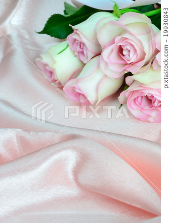 Horizontal pink composition 19930843