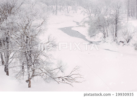 River in forest with hoarfrost, copy space River in forest with hoarfrost, copy space 19930935