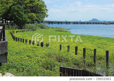 Biwa Lake seen from Shiga Prefecture Zeza Park Biwa Lake seen from Shiga Prefecture Zeza Park 19932001