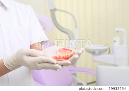 Dentures and hands of a dentist 19932264