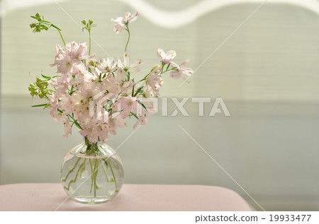 Pink cool in a cool Pink cool in a cool 19933477