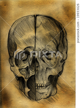 Halloween human skull illustration on burnt paper Halloween human skull illustration on burnt paper 19933826