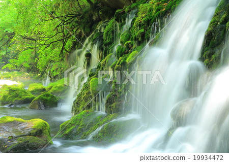 秋田縣夏天前瀑布淹沒了水 19934472