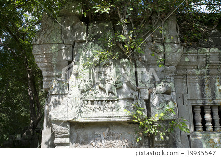柬埔寨暹粒本梅利亞遺址 19935547