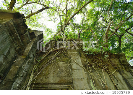 Cambodia Siem Reap Ben Melia ruins Cambodia Siem Reap Ben Melia ruins 19935789