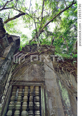 Cambodia Siem Reap Ben Melia ruins Cambodia Siem Reap Ben Melia ruins 19935790