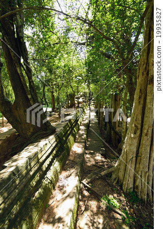 柬埔寨暹粒本梅利亞遺址 19935827