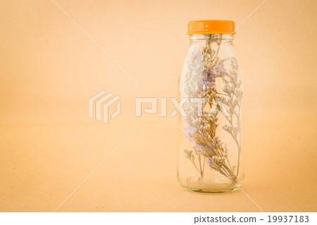 Beautiful violet dried flower in the bottle Beautiful violet dried flower in the bottle 19937183