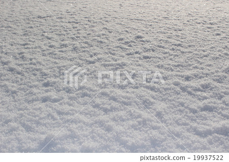 snow          19937522