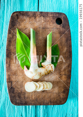 rhizome of galangal fresh. 19938175