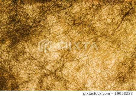 Blurred of golden thread with white background. 19938227