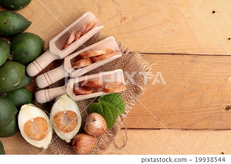 Betel palm Betel palm 19938544