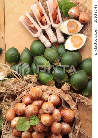 Betel palm Betel palm 19938548