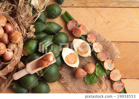 Betel palm Betel palm 19938553