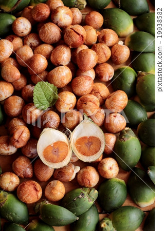 Betel palm Betel palm 19938582