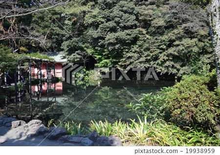 春天的春天池塘 19938959