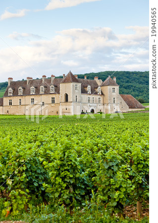 Clos Blanc De Vougeot Castle, Burgundy, France 19940565