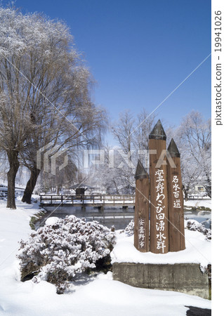 Winter Azumino Wasabi Tanpaki Group Park 19941026