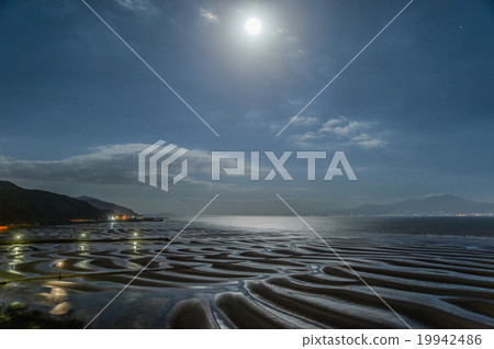 月光海岸的海岸 19942486