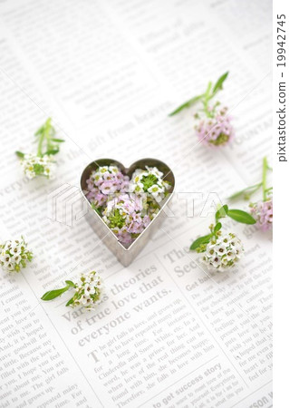 心臟和甜alsassum 心臟和甜alsassum 19942745