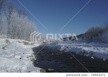  Foggy ice 19943872