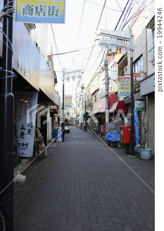 Glittering Tachibana shopping street 19944246