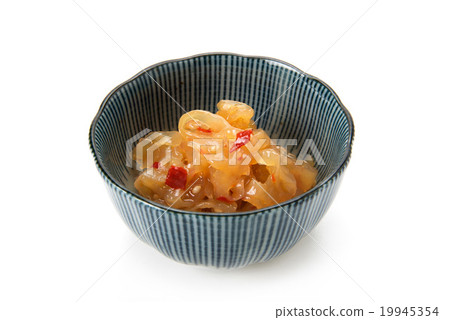 中國水母 19945354