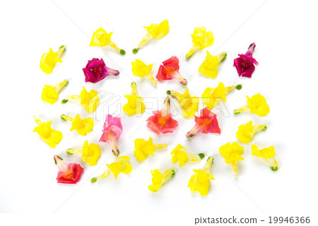 Edible flowers Edible flowers 19946366