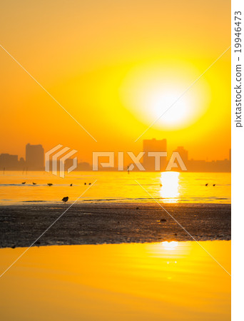 Dusk landscape of tideland Dusk landscape of tideland 19946473