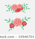 Roses with leaves. flower vector illustration 19946703